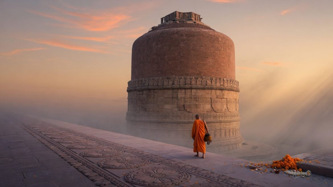 Ashoka / Pennocle